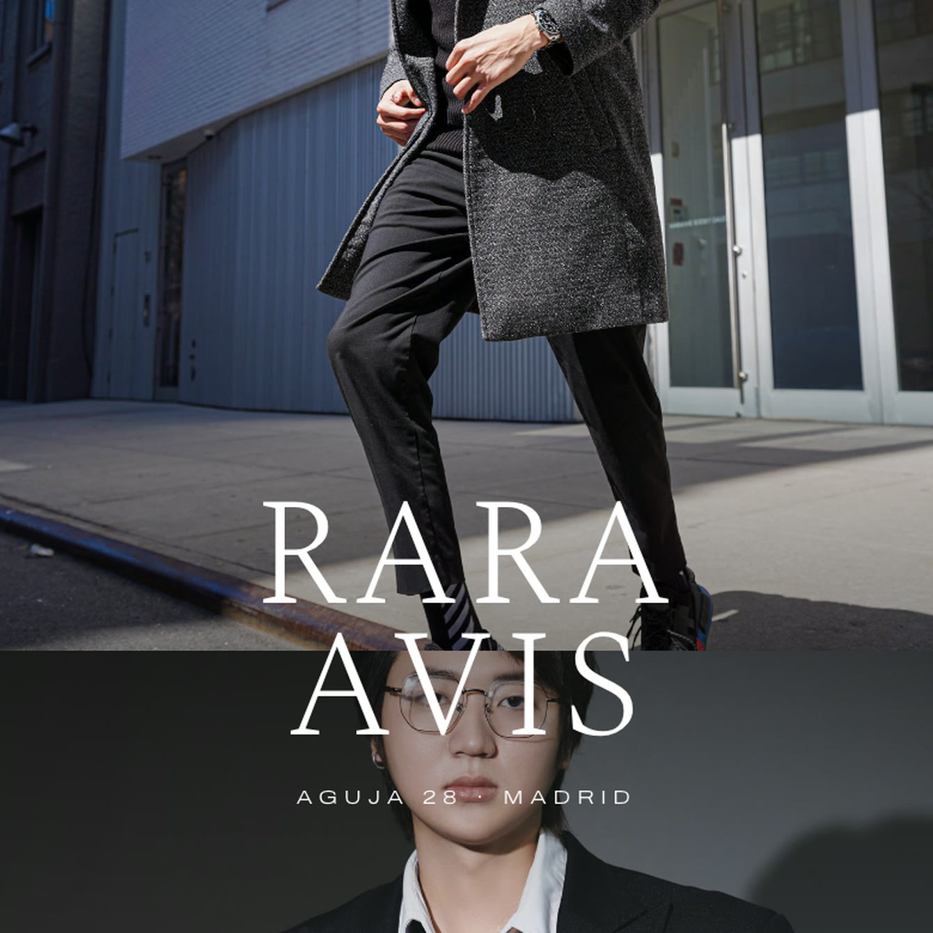 RARA AVIS — 3/3